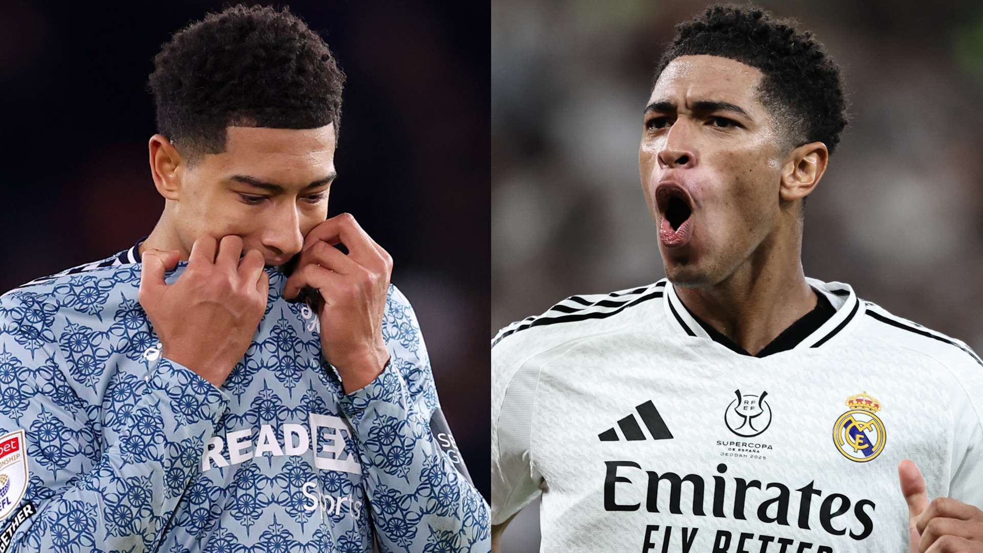 的國際聲譽 的國際聲譽